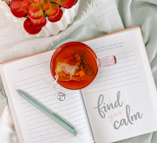 Open journal with 'find your calm' text, tea cup, pencil, and succulent plant.