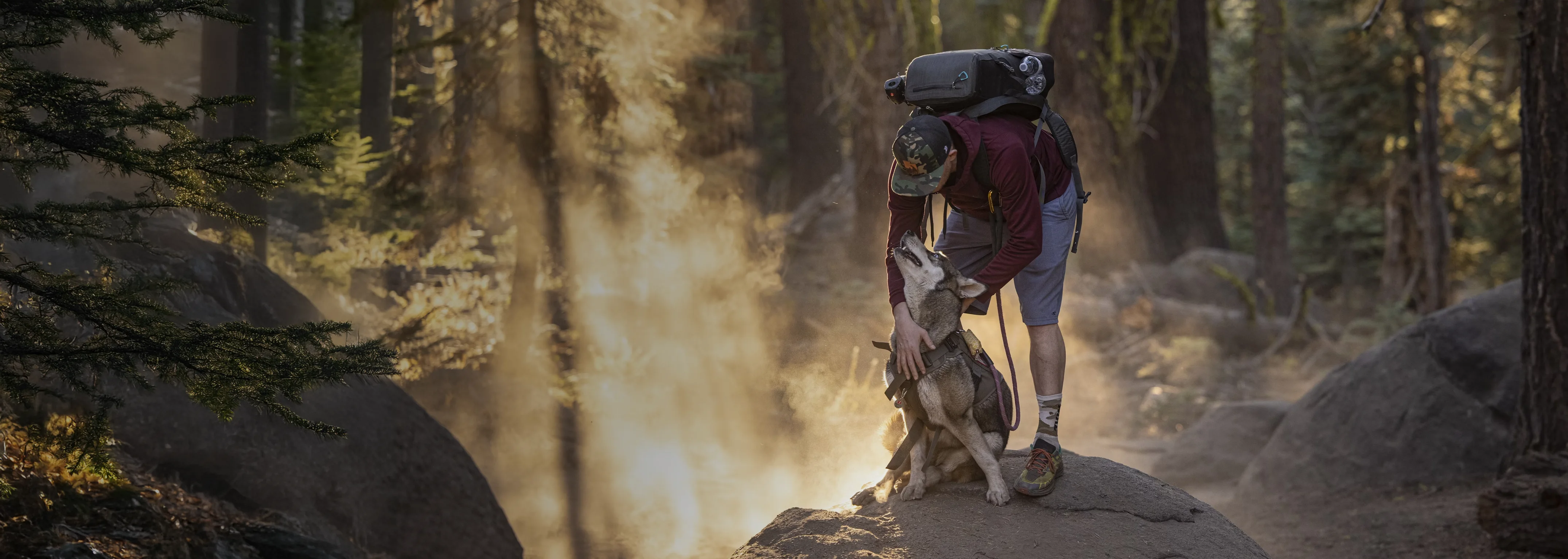Person with backpack petting a dog in a forest.
