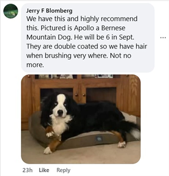 Bernese Mountain Dog lying on a dog bed in front of a wooden cabinet.