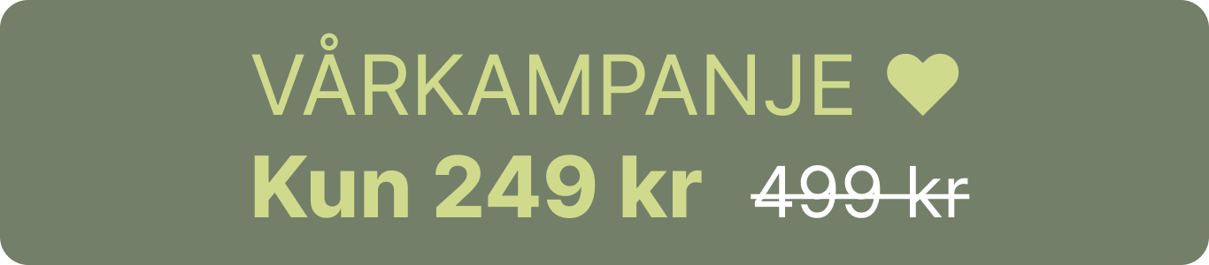 A green banner advertising a spring campaign with a price of 249 kr, reduced from 499 kr.