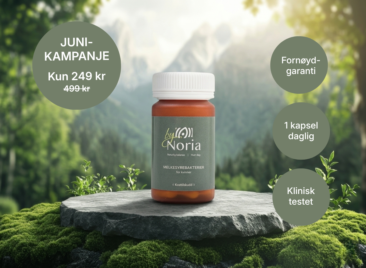 A bottle of 'by Noria' supplements rests on a mossy stone platform in a lush mountain setting.