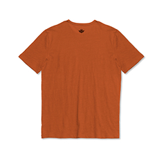 Back view of an orange t-shirt on a white background.
