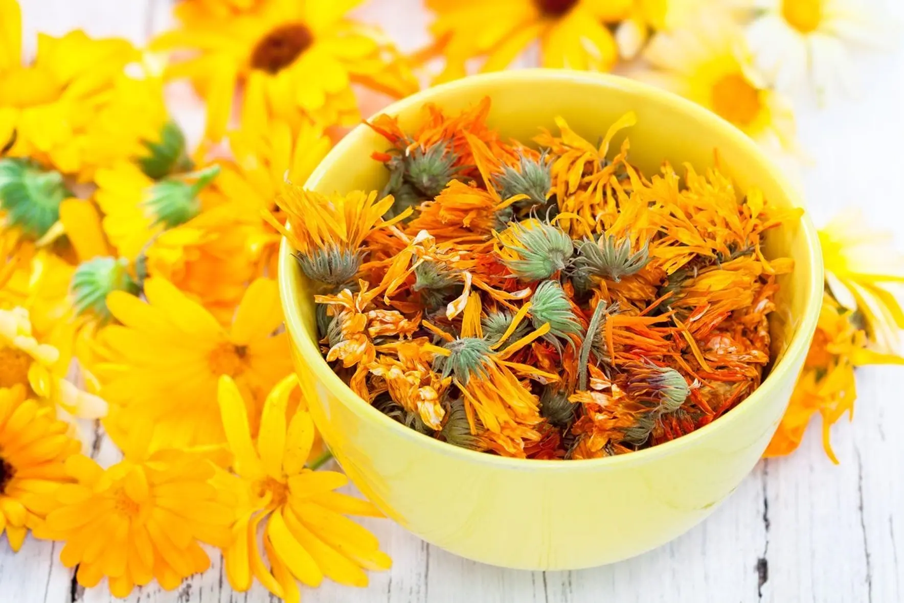 Yellow bowl filled with dried orange flowers on a white background.