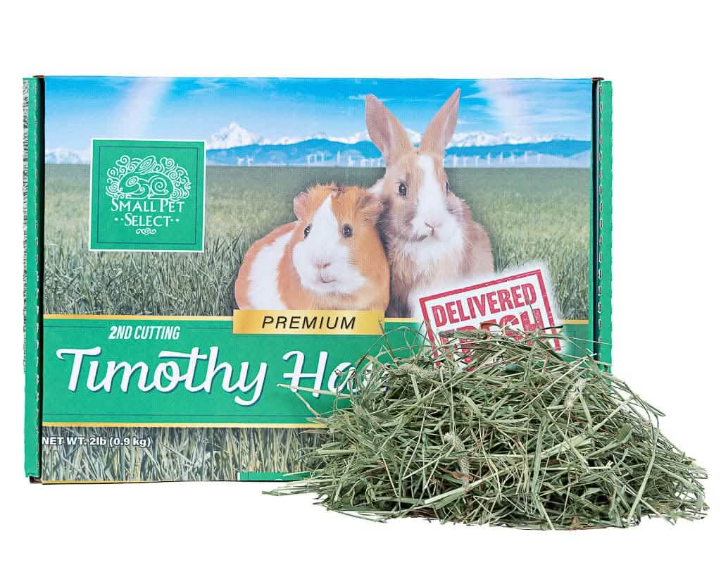 A box of Small Pet Select Timothy Hay with a pile of loose hay in front.
