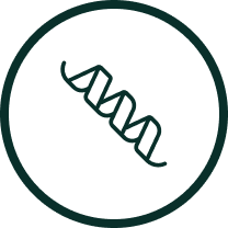 Simple DNA helix icon inside a dark green circle.