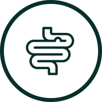 Simple line drawing of an intestine inside a circle.
