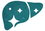 A teal, stylized icon of a liver with three white sparkles on a transparent background.