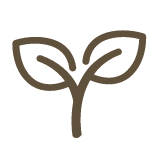sprout icon