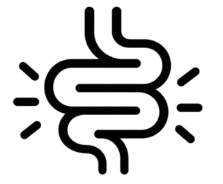 A black line icon of an inflamed or irritated intestine.