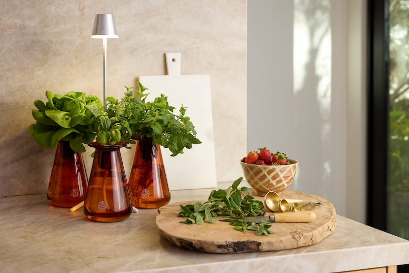 Herbs in orange vases, cutting board, strawberries in a bowl, and a wooden chopping block.