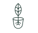 A line drawing icon of a seedling in a pot with its roots visible.