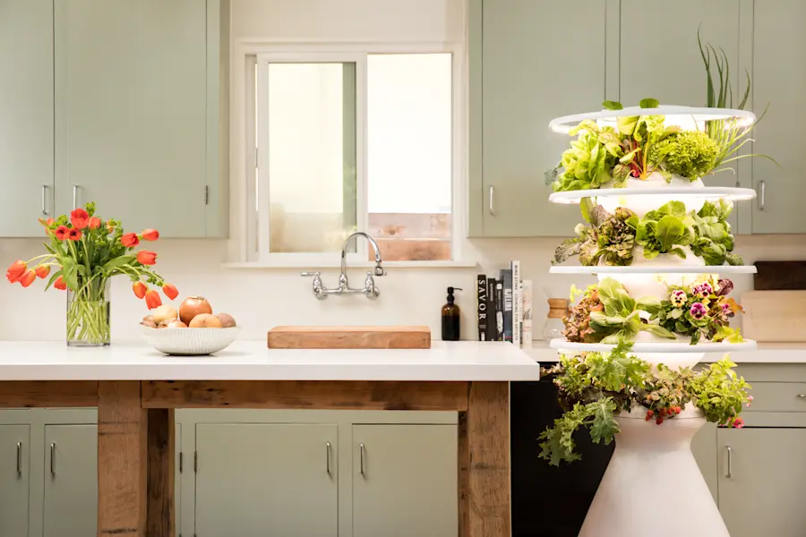 Kitchen with a vertical garden and a vase of tulips on the counter.