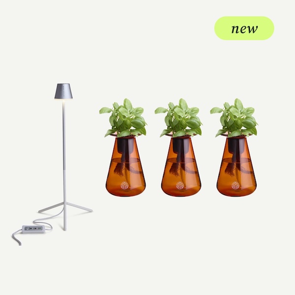 Three orange vases with green plants and a white floor lamp.