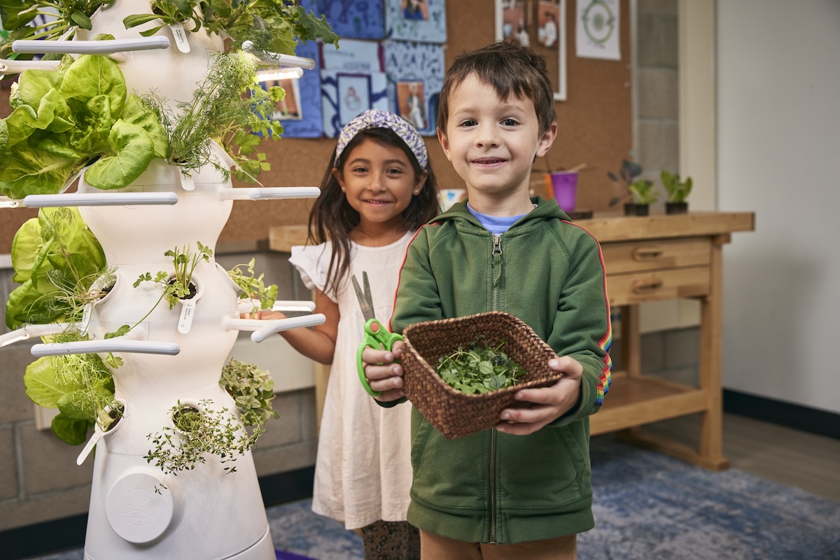 Two children harvesting herbs from an indoor vertical garden.