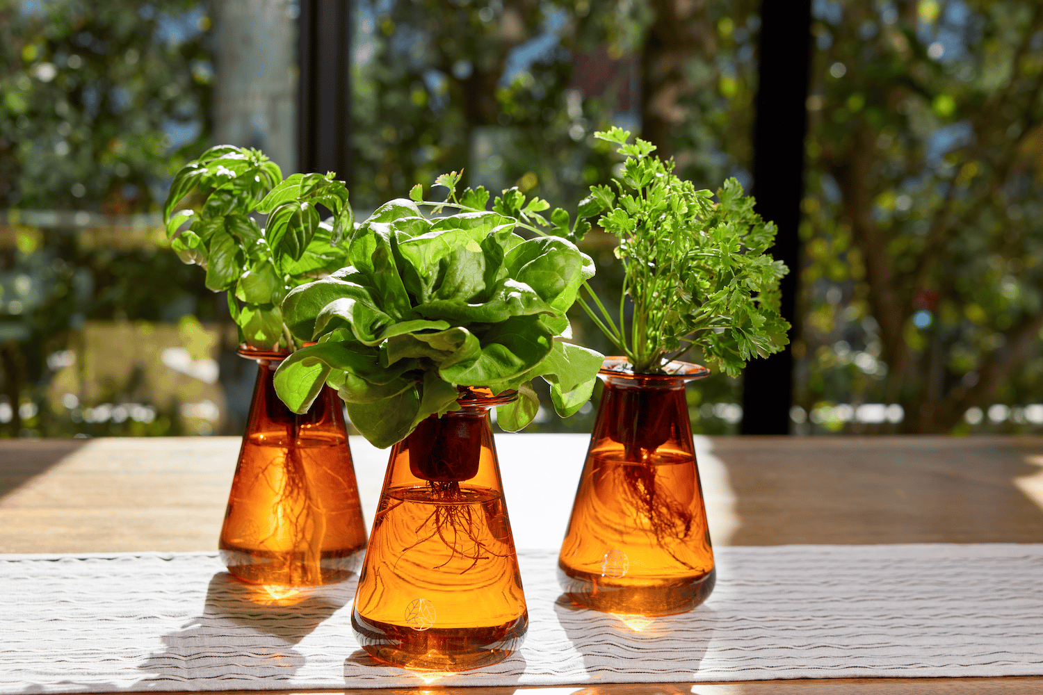 Counterstand Herb Grow Kit