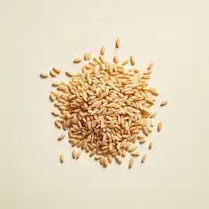 A pile of uncooked brown rice on a plain background.