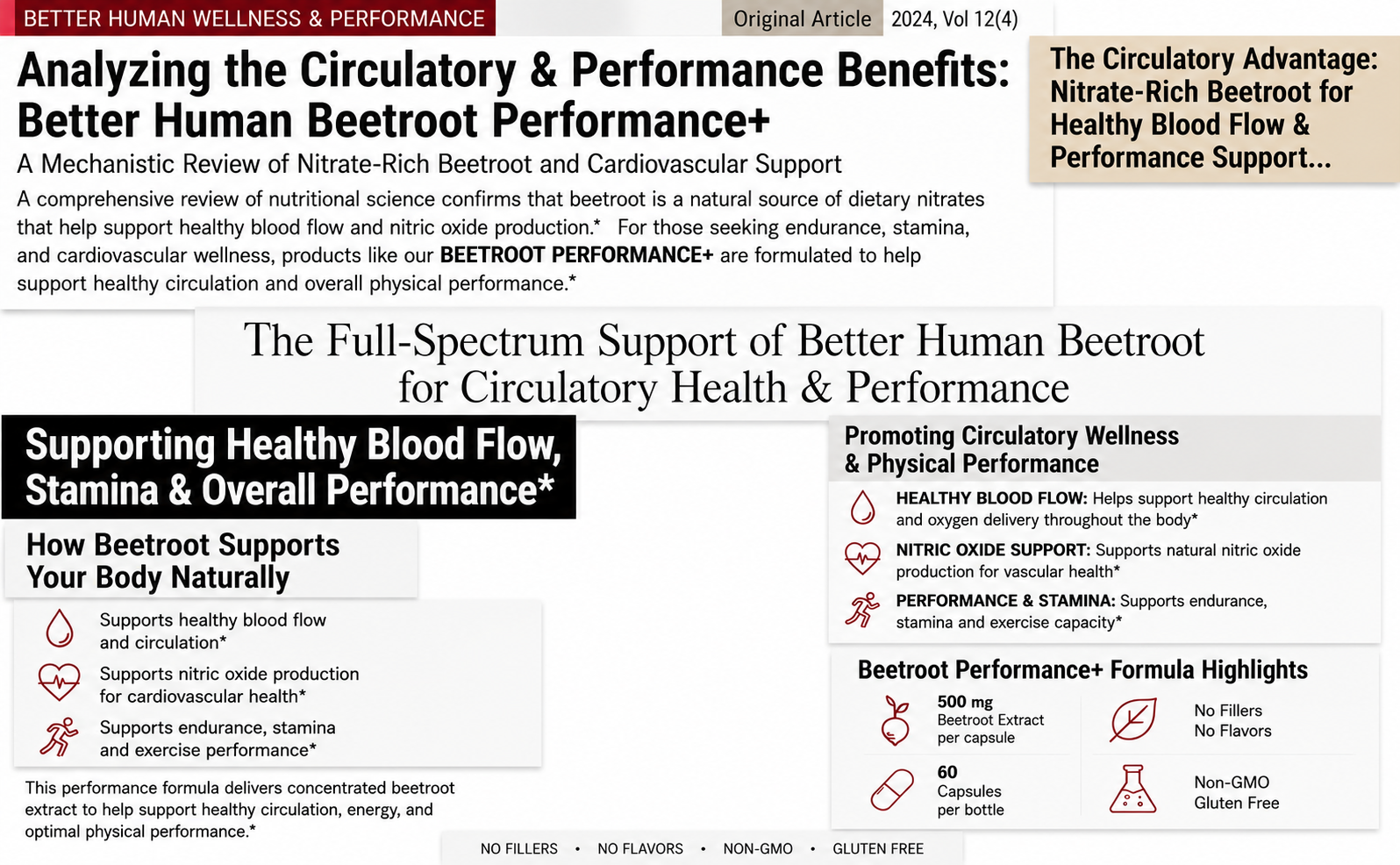 An informational graphic detailing the benefits of a beetroot supplement for circulatory health and performance.