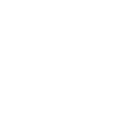 A solid white background.