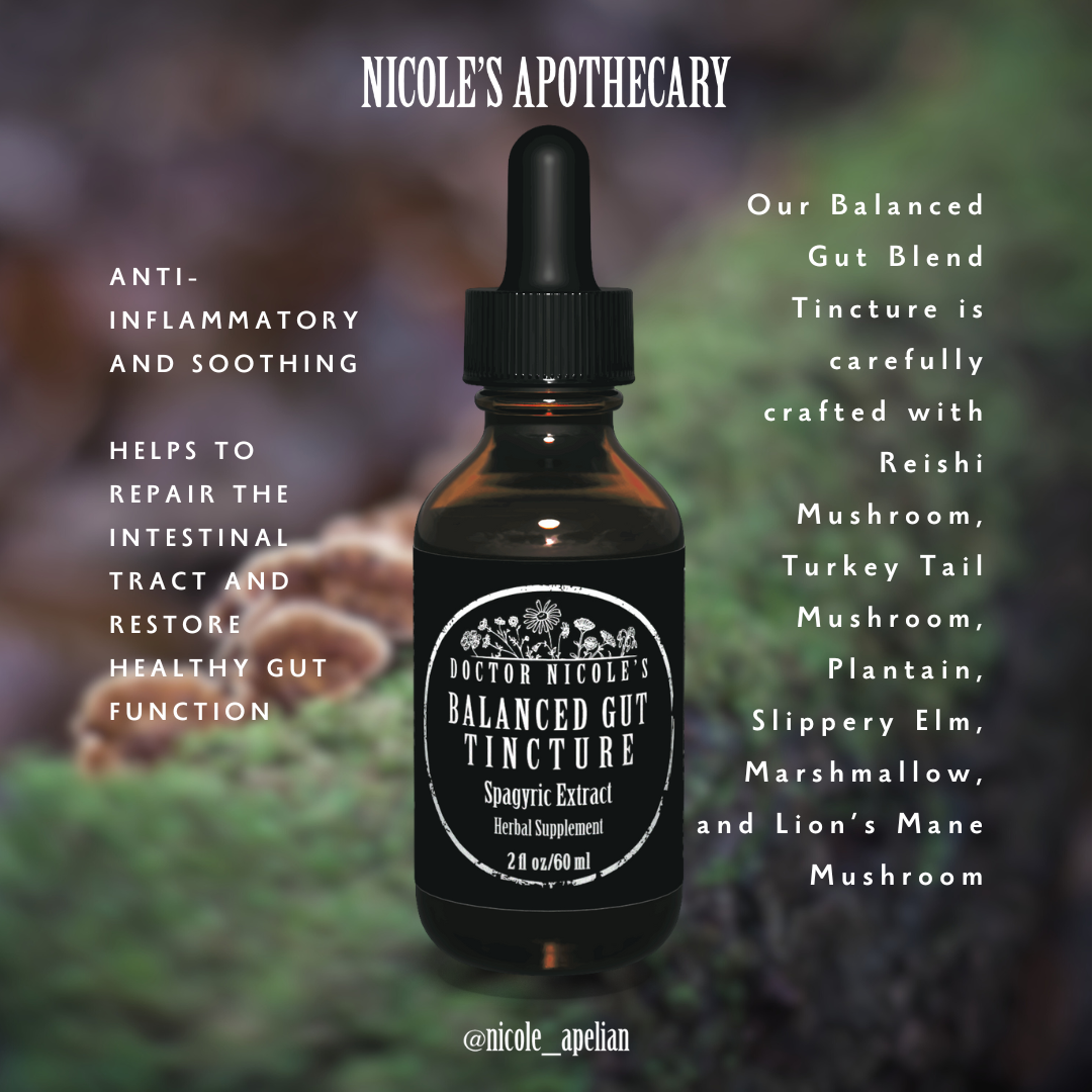 Dropper bottle labeled 'Doctor Nicole's Balanced Gut Tincture' with descriptive text on a blurred background.
