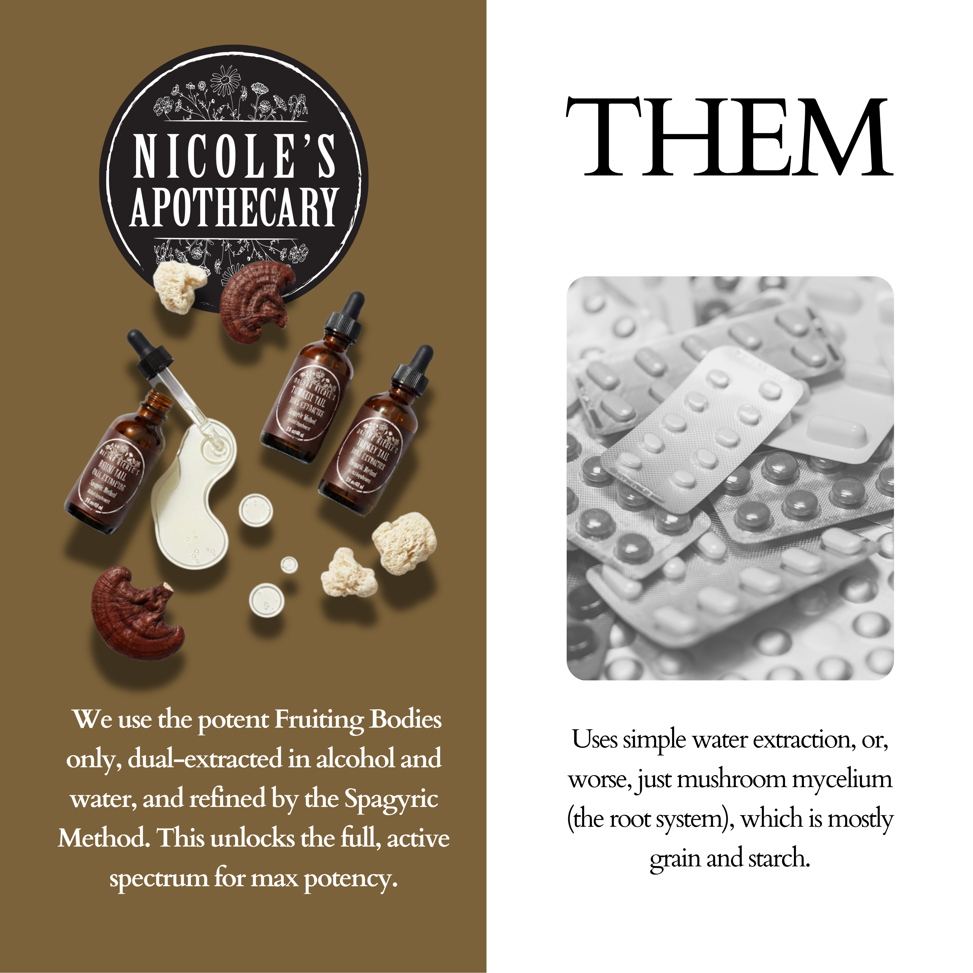 Left: bottles and mushrooms; right: blister packs of pills; text about extraction methods.