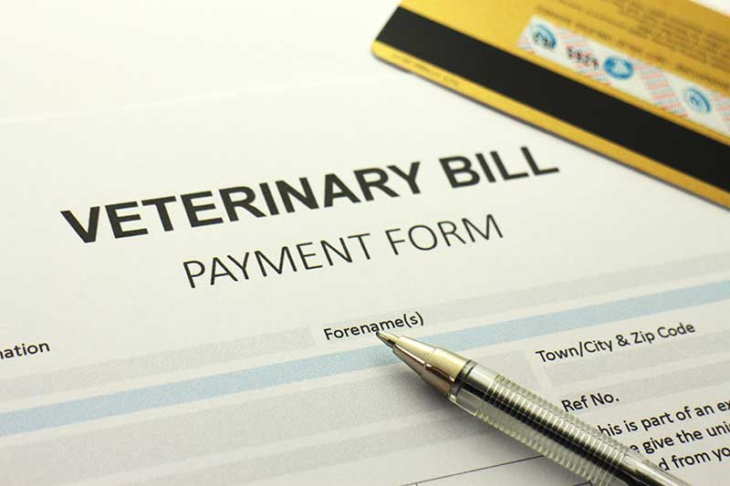 Veterinary bill payment form with a pen and credit card on top.