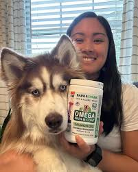 Person holding a container of Omega supplement next to a husky dog indoors.