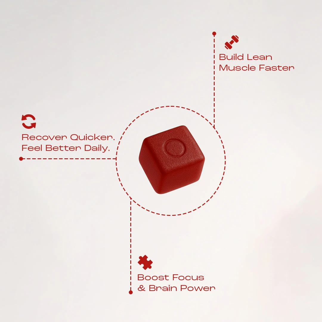 Red cube with text about recovery, muscle building, and focus enhancement.