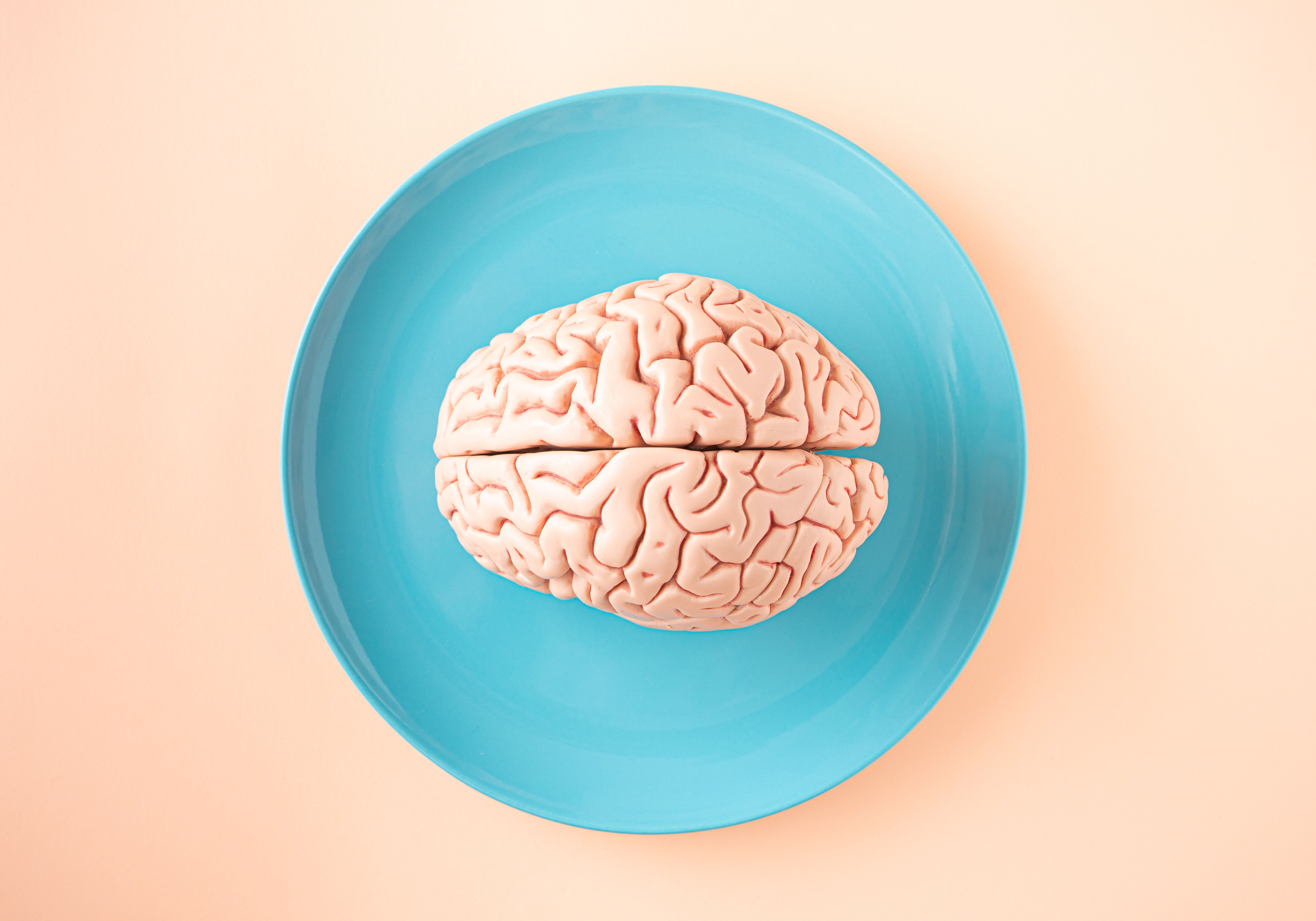 A top-down, minimalist view of a pink human brain model centered on a bright blue plate, set against a smooth peach background, conceptualizing brain health and mental nutrition
