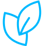 Simple blue line drawing of two leaves.