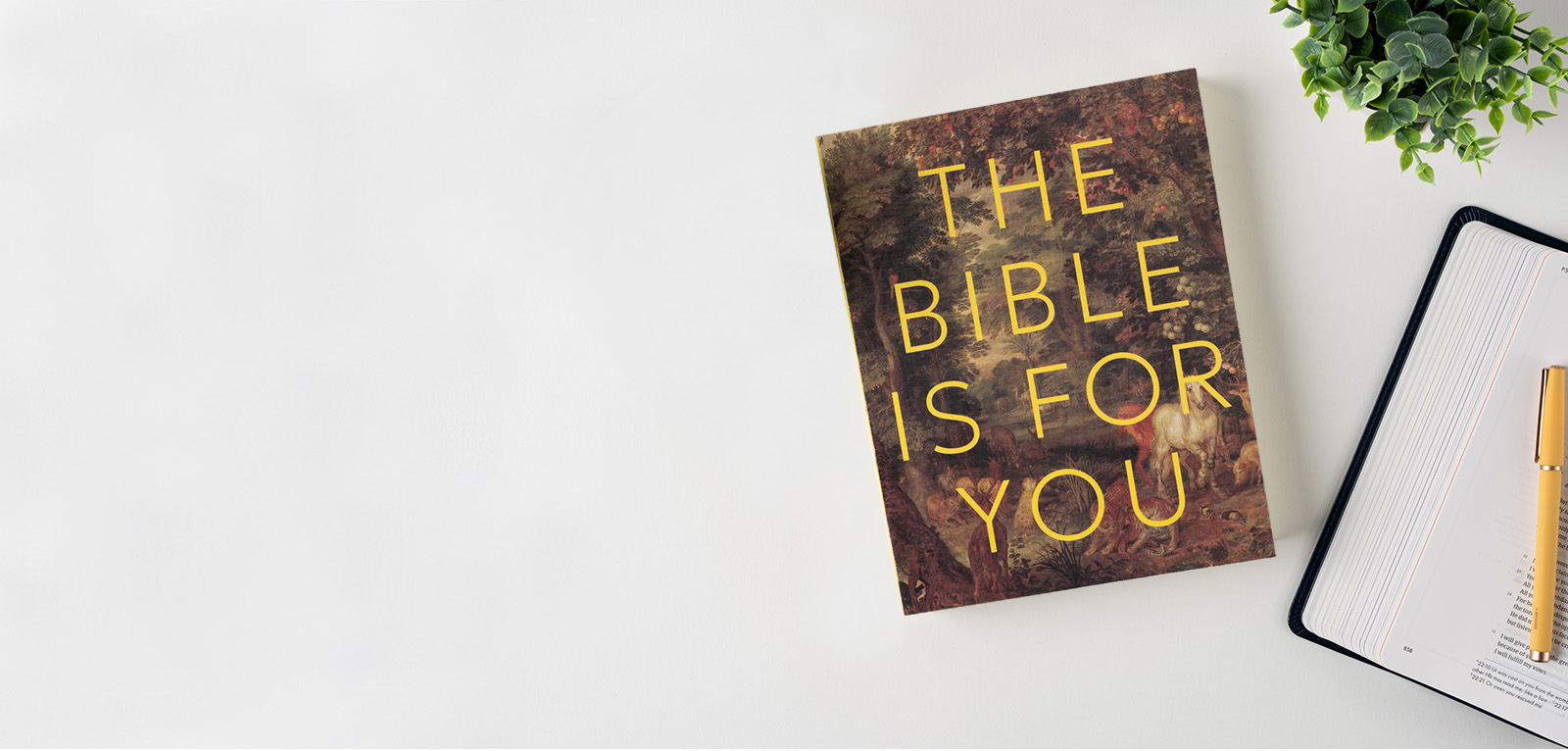 Book titled 'The Bible is for You' next to an open notebook and pen.