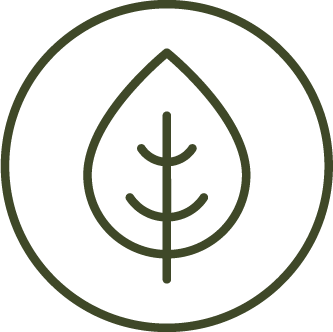 Simple line drawing of a leaf inside a circle.