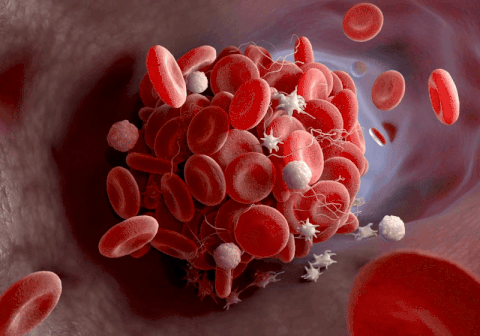Illustration of red blood cells and white blood cells in a blood vessel.