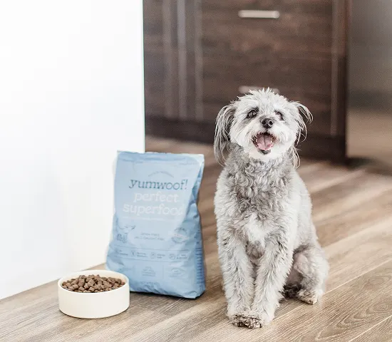 Smiling dog sitting beside a bowl of kibble and a dog food bag.
