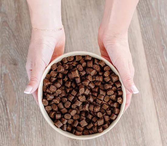 Hands holding a bowl of small brown pellets on a wooden floor.