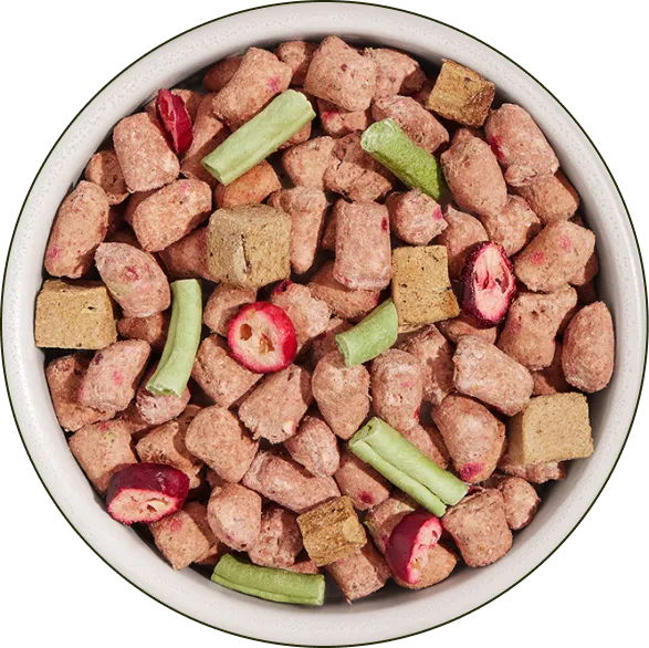 Bowl of mixed pet food with vegetables and fruits.