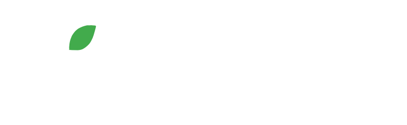 White text 'vitaliskraft' with a green leaf above the 'i' on a black background.
