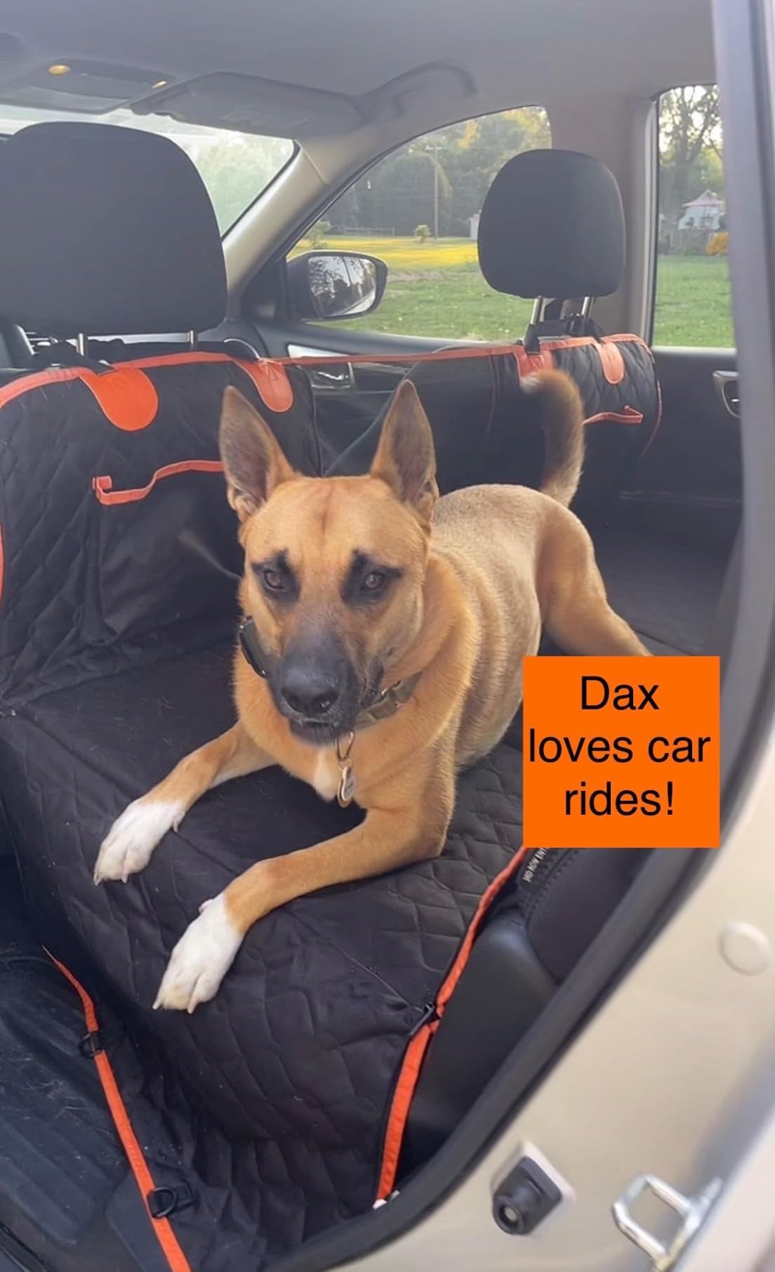 A brown dog sits on a car seat cover with text overlay saying 'Dax loves car rides!'