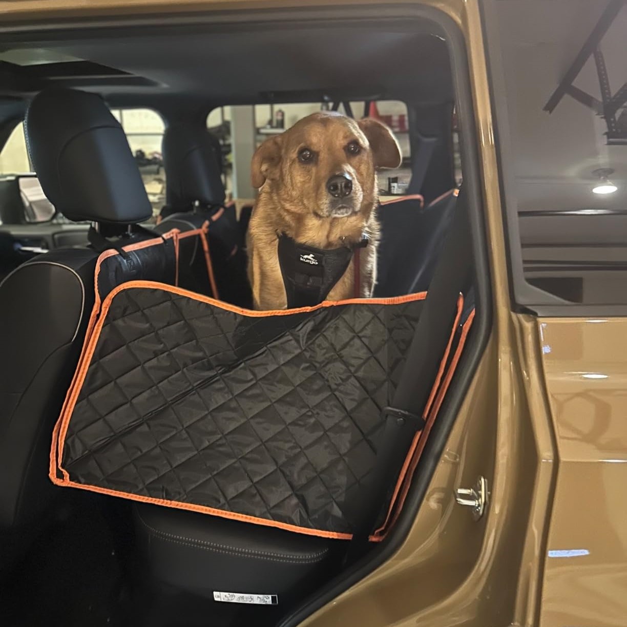 A brown dog in a car seat cover inside a vehicle.