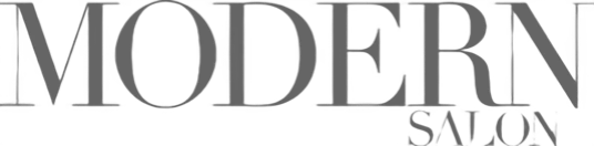 Logo with the text 'Modern Salon' in bold, black letters.