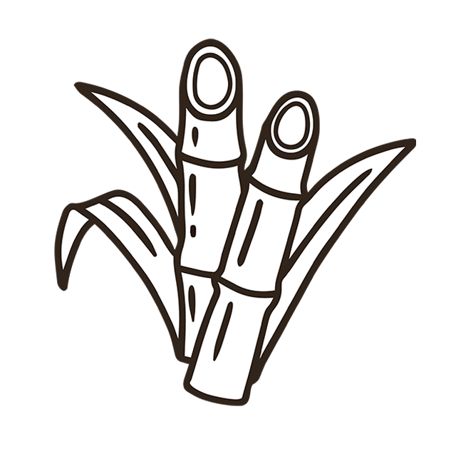 A black and white line drawing of two sugarcane stalks with leaves on a white background.