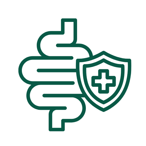 A dark green line icon of intestines and a shield with a plus sign.