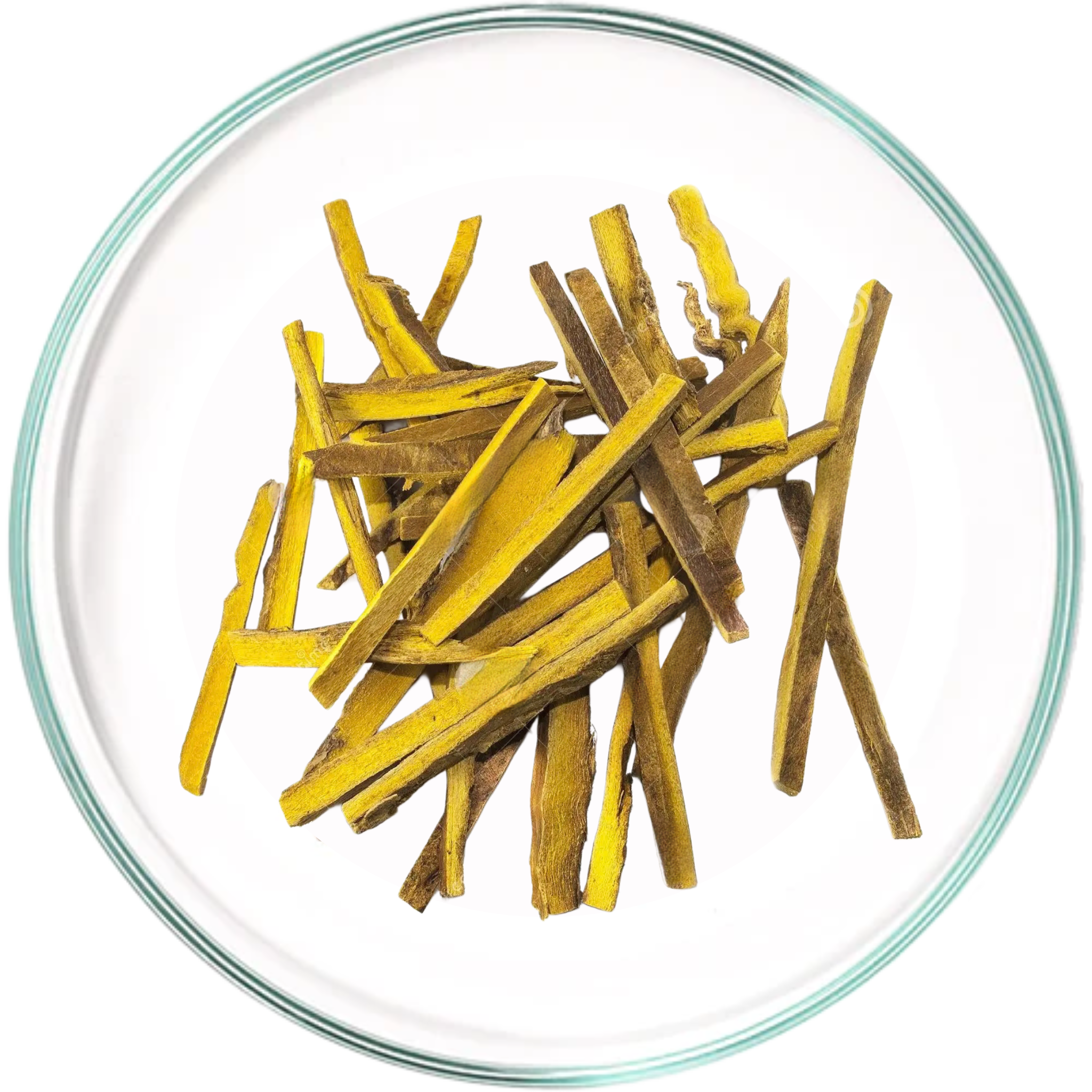 Ginseng root and powder in a glass dish.