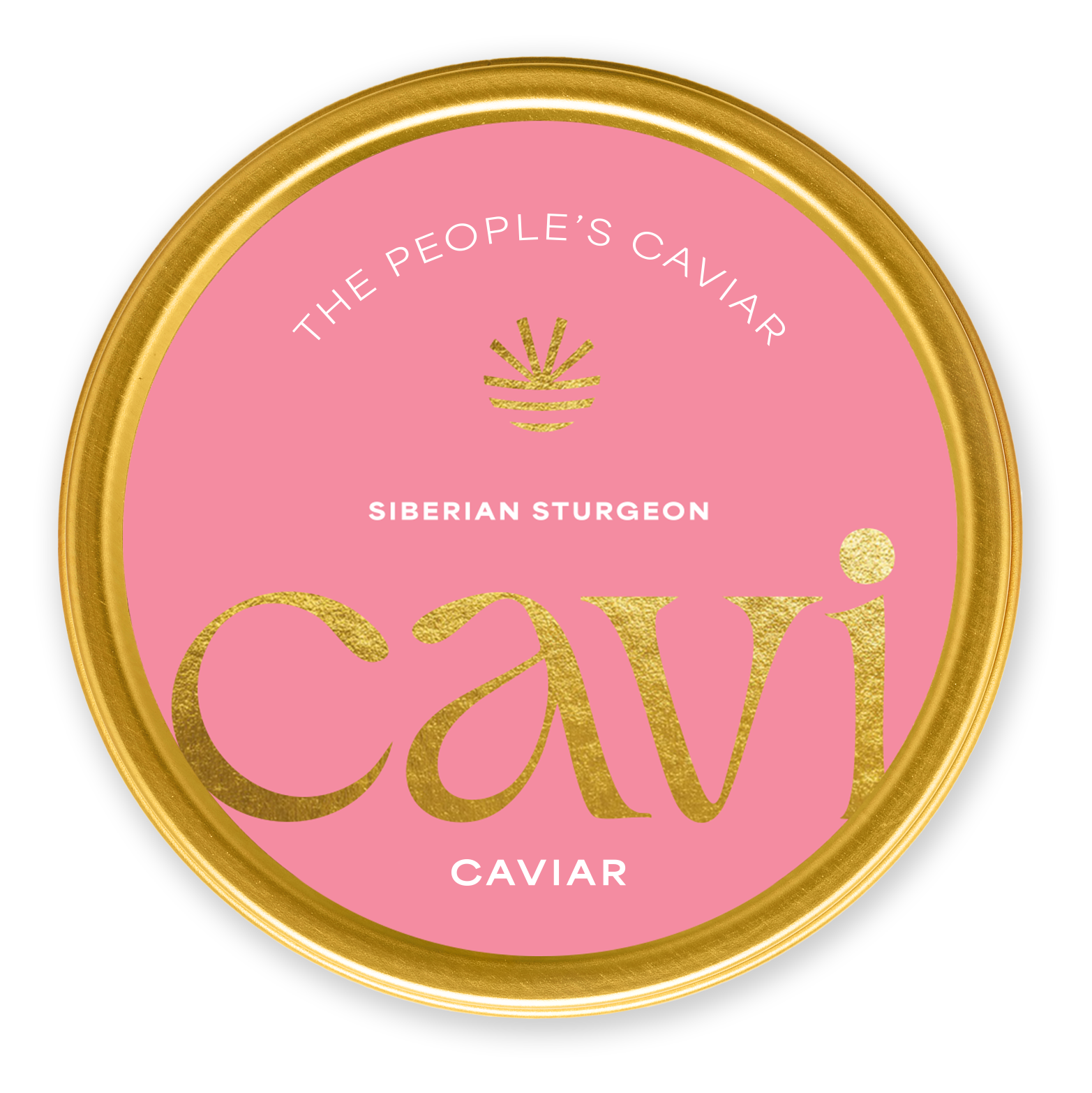 CAVI's Beginner Tasting Kit – CAVI Caviar