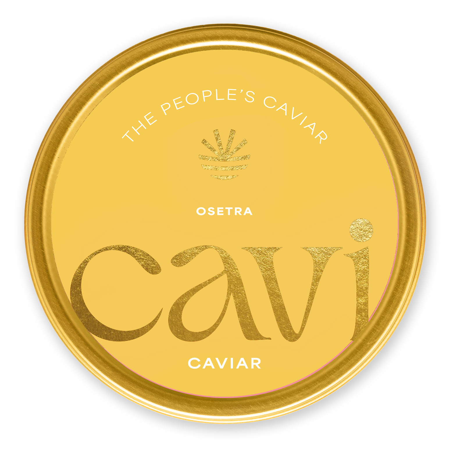 CAVI's Beginner Tasting Kit – CAVI Caviar