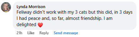 Comment praising a product that improved cat relations, with a heart emoji.