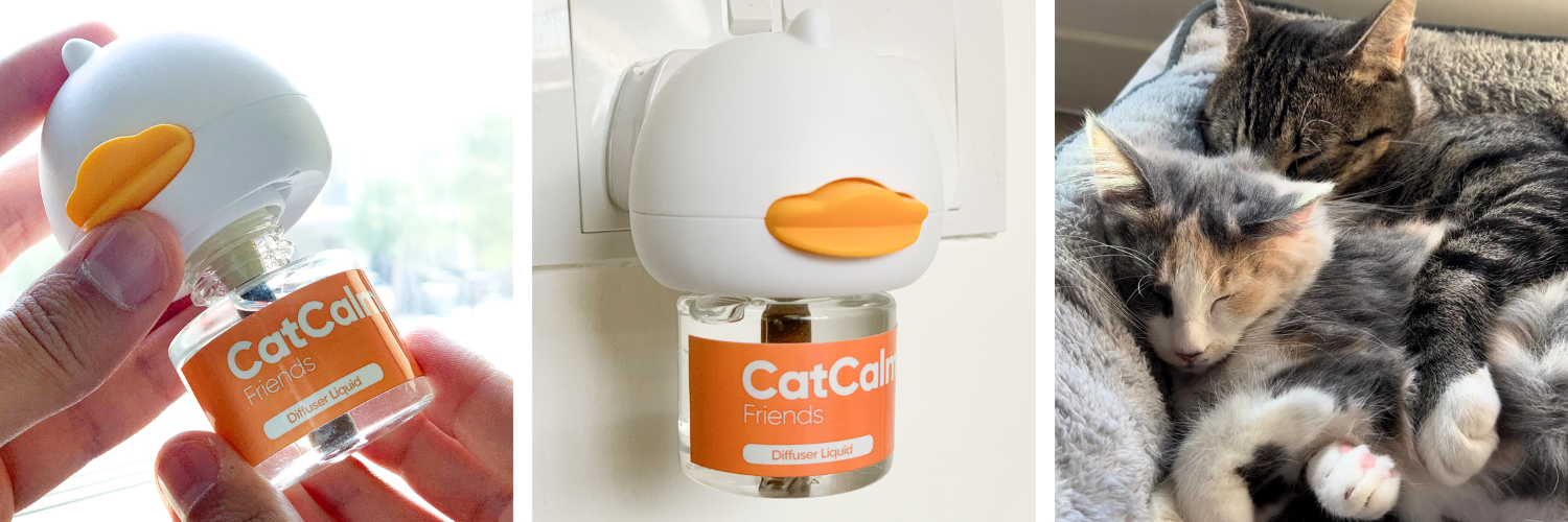 Three images: a cat-shaped diffuser, the diffuser plugged in, and two cats sleeping together.