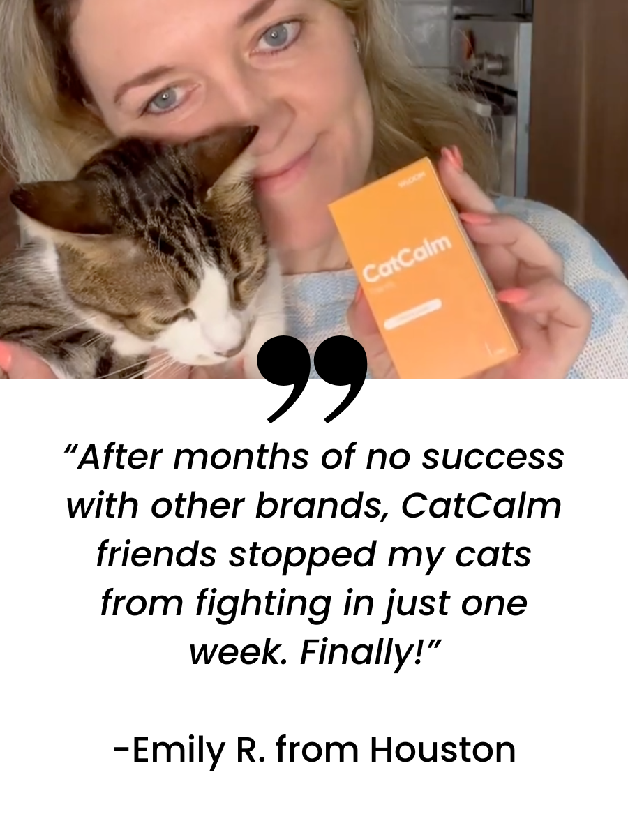 Person holding a cat and CatCalm box with text testimonial.