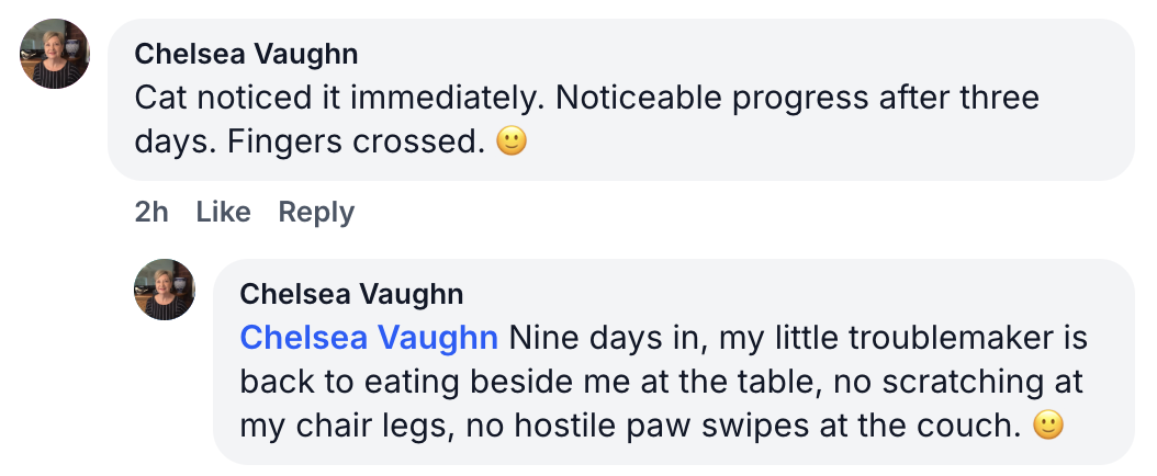 A screenshot of two social media comments from Chelsea Vaughn about her cat's improved behavior.