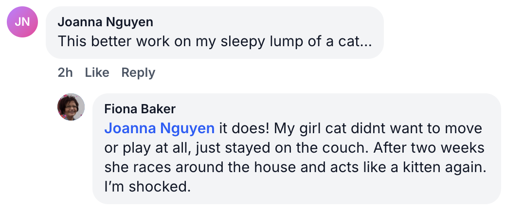 A screenshot of a social media conversation between Joanna Nguyen and Fiona Baker about their cats.