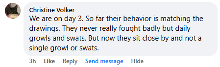 A Facebook comment by Christine Volker about animal behavior on day 3.